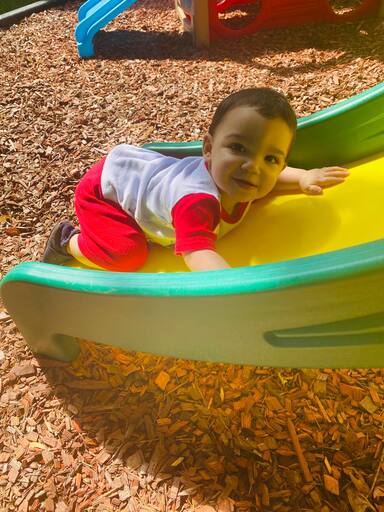 kindnesstre Tree Foto 3